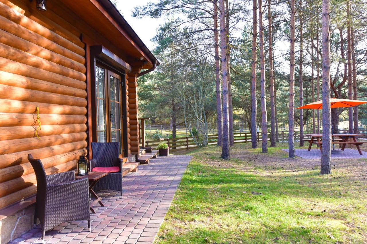 D&A Baltic Beach Villa Jurmalciems Екстер'єр фото